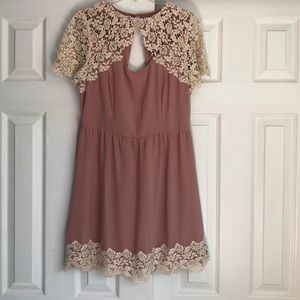 Lace Sleeve Dress